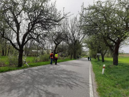 Čistá Vysočina (3)