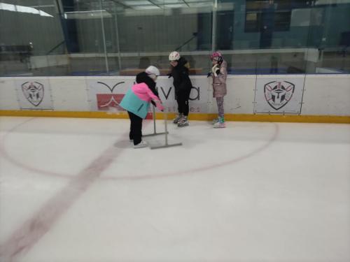 IMG_20260129_101230 (1)